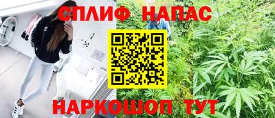 прущие грибы Дубна