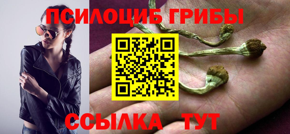 Псилоцибиновые грибы GOLDEN TEACHER Жуковский