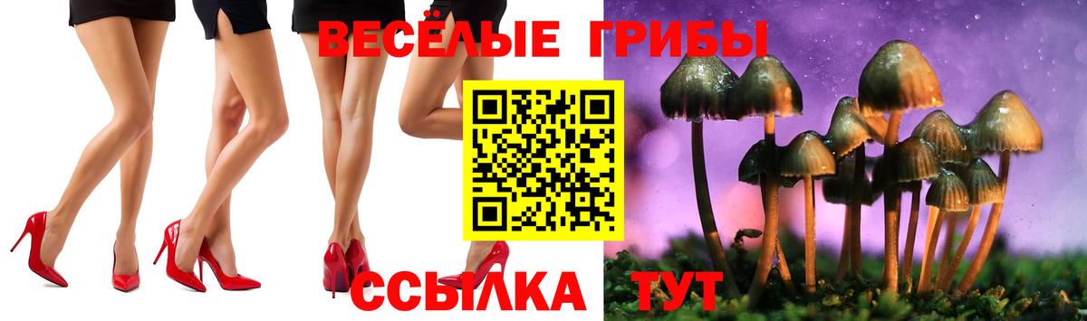 Жуковский  Псилоцибиновые грибы мухоморы  Вход с VPN  Галлюциногенные грибы прущие грибы 